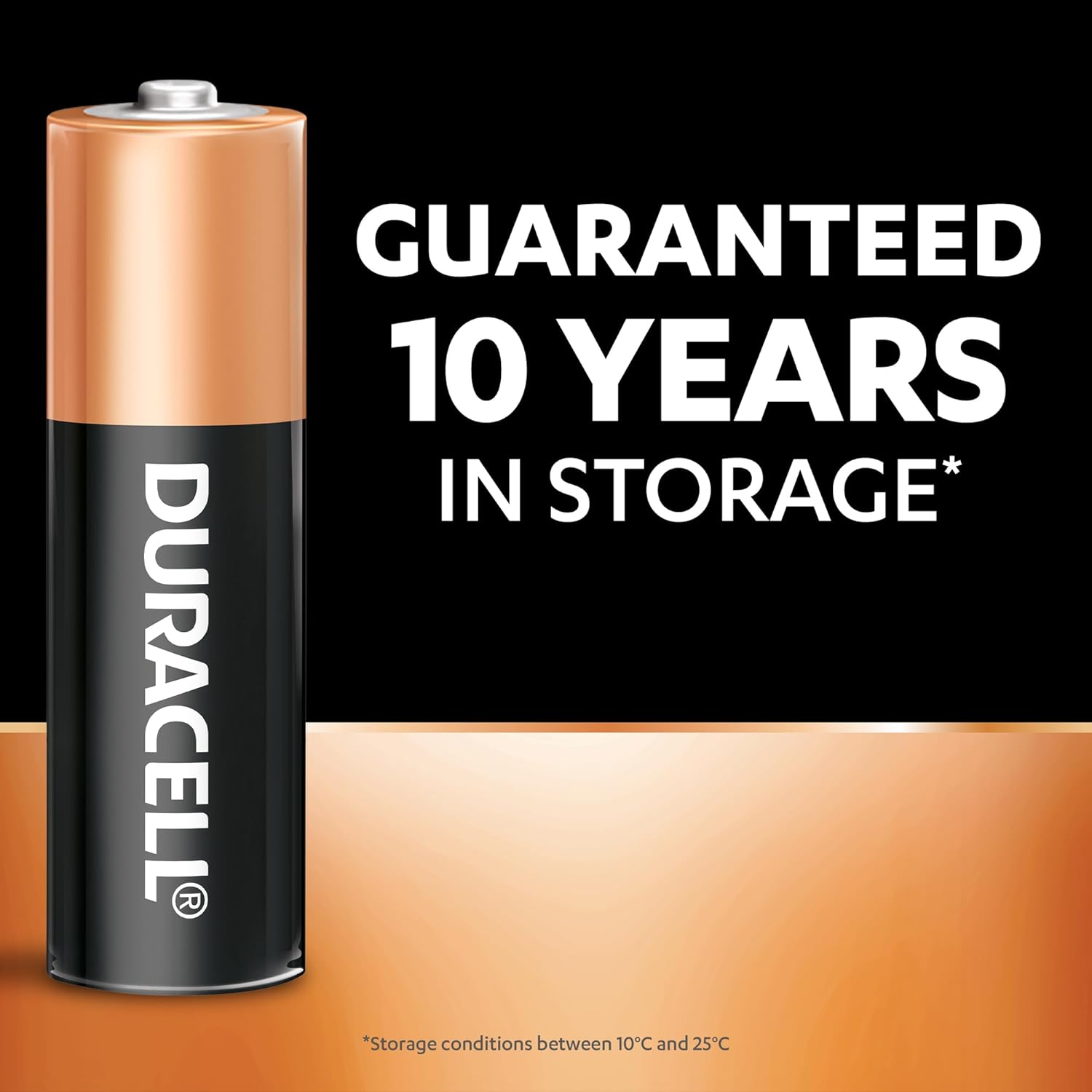 Duracell AA Alkaline Batteries