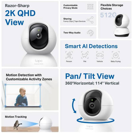 Tapo C220 Surveillance Camera Person Detection