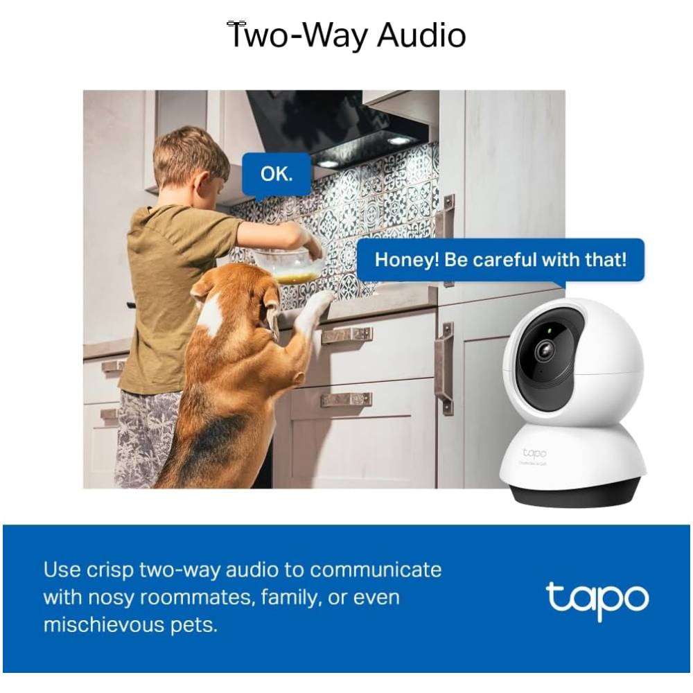 Indoor Surveillance Camera Pet detection